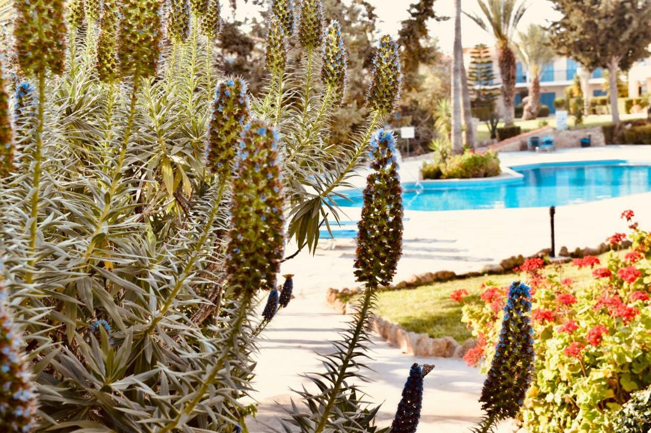 Paradise Gardens Mediterranean Home Pafos Exterior foto