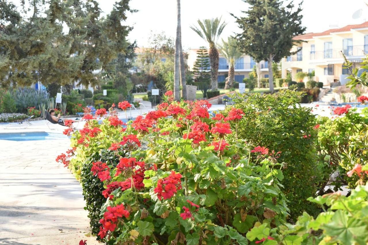 Paradise Gardens Mediterranean Home Pafos Exterior foto